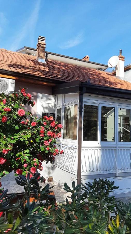 Lalovina Apartment Herceg Novi Exteriör bild